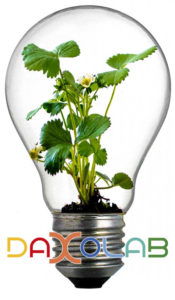 lampadina coworking daxolab livorno idee