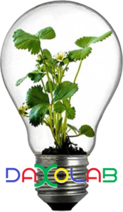 lampadina coworking daxolab livorno idee